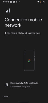 Select "Download a SIM instead?"